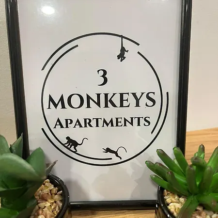 3 Monkeys - S1 *